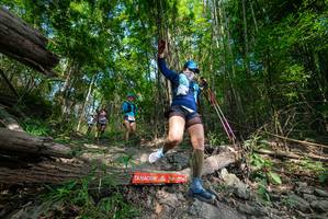 BIB: 
                            <button type="button" onclick="openModal(19389902)" class="btn btn-primary btn-sm float-right btn-popup" data-toggle="modal" data-target=".modal-high-quality">
                        <i class="fas fa-shopping-cart"></i> Add to Cart
                    </button>
                                            <button type="button" onclick="isThisMe(19389902, true)" class="btn btn-success btn-sm float-right btn-popup btn-isme hidden" data-toggle="tooltip" data-placement="bottom" title="นี่คือรูปของคุณใช่ไหม คลิกที่นี่เพื่อเอาเข้าอัลบั้ม">
                        <i class="fas fa-plus"></i> Add to album
                    </button>
                    <button type="button" onclick="isThisMe(19389902, false)" class="btn btn-warning btn-sm float-right btn-popup btn-isnotme hidden">
                        <i class="fas fa-ban"></i> Remove from album
                    </button>